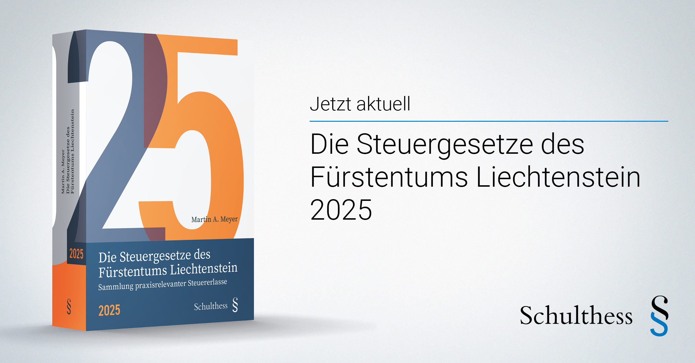 Meyer_Die_Steuergesetze_des_FL_2025_LinkedIn_1200x628px